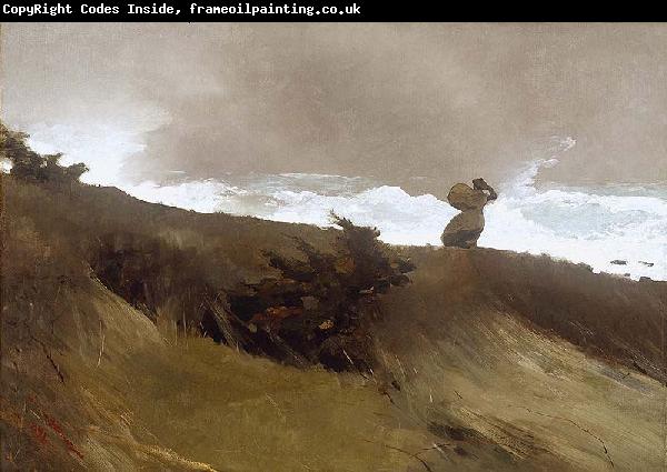 Winslow Homer The West Wind