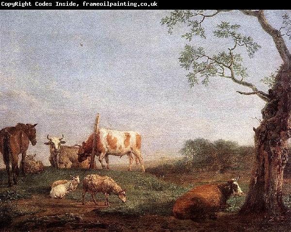 paulus potter Resting Herd