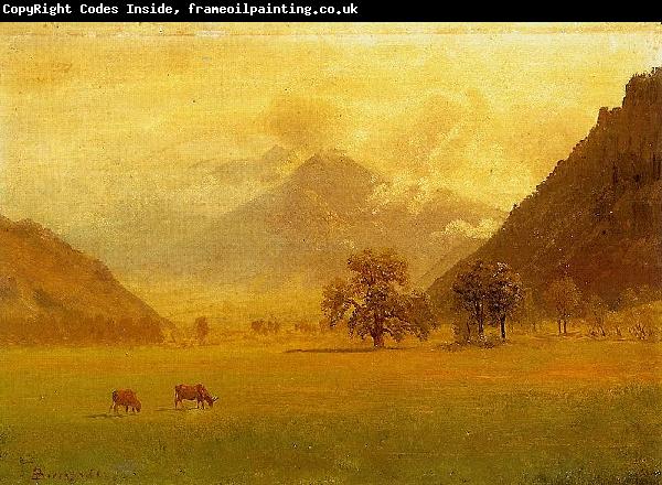 Albert Bierstadt Rhone Valley