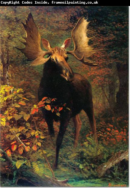 Albert Bierstadt In the Forest