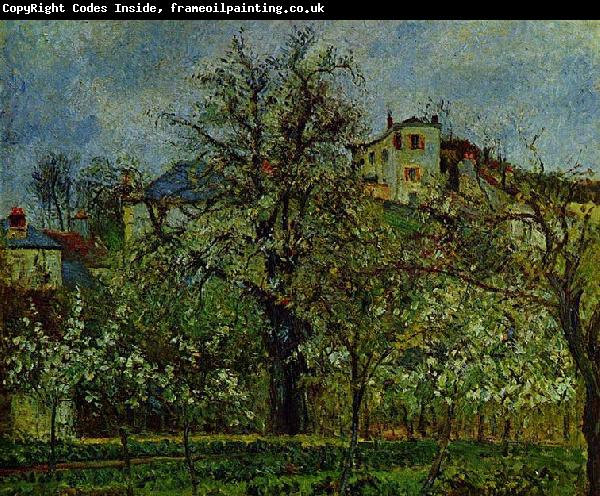 Camille Pissarro Obstgarten mit bluhenden Baumen