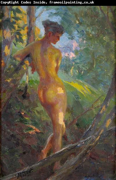 Ferdinand Max Bredt Letzte Sonnenstrahlen