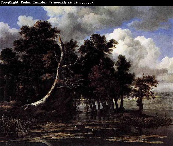 Jacob Isaacksz. van Ruisdael Oaks by a Lake with Waterlilies