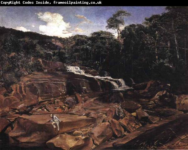 Johann Georg Grimm Waterfall in Teresopolis