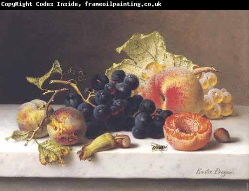 Johann Wilhelm Preyer Grapes peaches and plums on a marble ledge