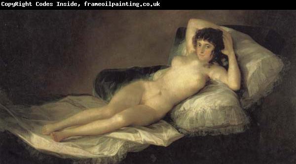 Francisco de goya y Lucientes The Maja Nude