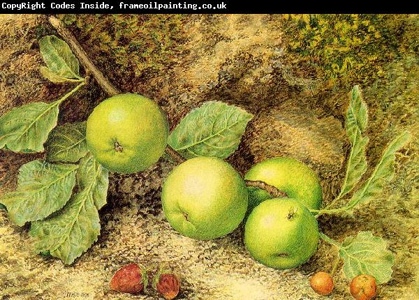 Hill, John William Still Life with Fruit and Fly