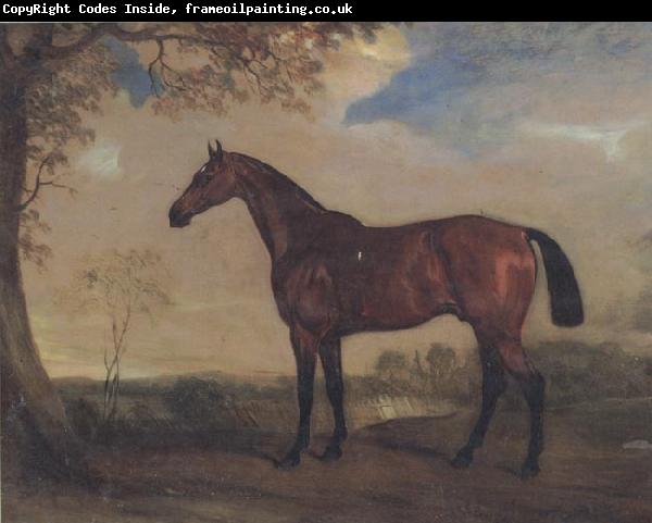 John Ferneley Portrait of a Hunter Mare,The Property of Robert shafto of whitworth park,durham