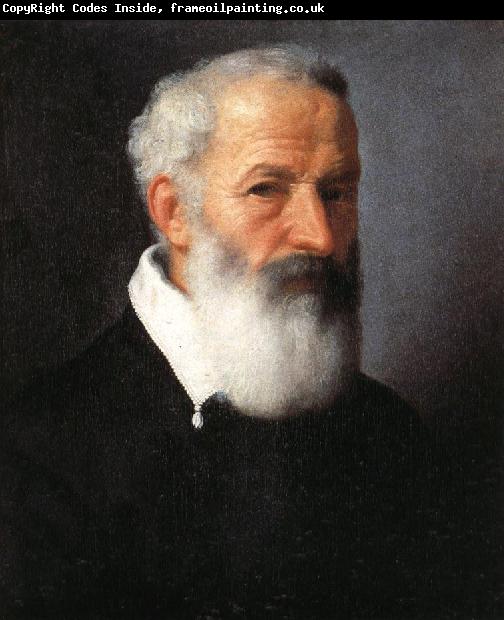 MORONI, Giovanni Battista Portrait of an Old Man