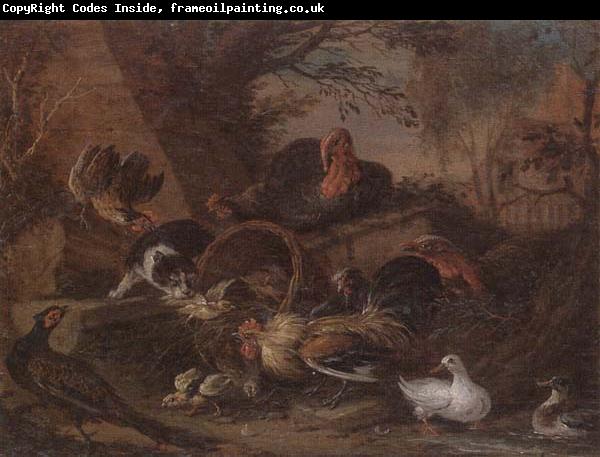 unknow artist Still life of fowl in a farmyard,with a cat stealing a bantam chick