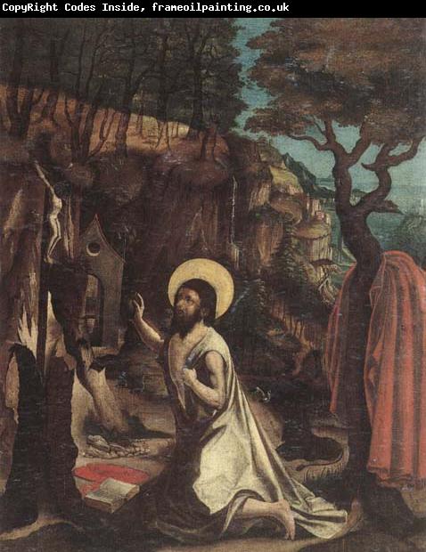 unknow artist Saint jerome in the wilderness