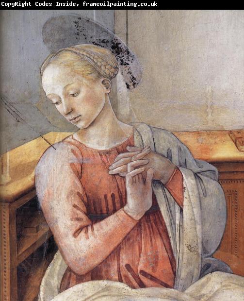 Fra Filippo Lippi Details of The Murals at Prato and Spoleto