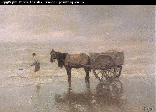 Mauve, Anton Gathering Seaweed