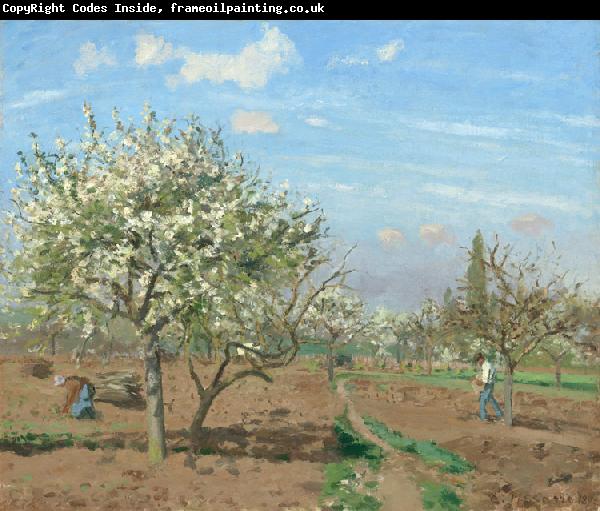 Camille Pissarro Orchard in  Bloom,Louveciennes (nn02)