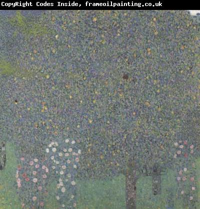 Gustav Klimt Rose Bushes Under the Trees (mk20)