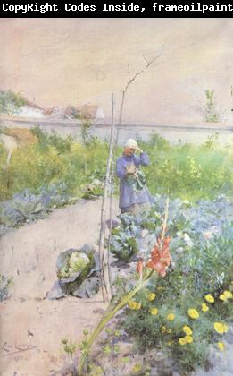 Carl Larsson In the Kitchen Garden (nn2