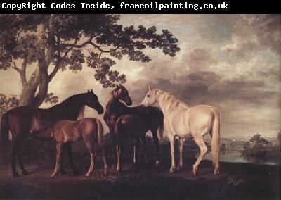 George Stubbs Mares and Foais in a Landscape (nn03)