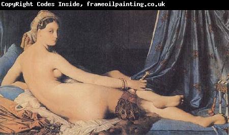 Jean-Auguste Dominique Ingres The Great Odalisque (mk35)