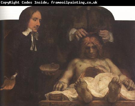 REMBRANDT Harmenszoon van Rijn The Anatomy Lesson of Dr Foan Deyman (mk33)