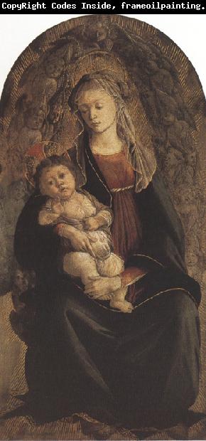 Sandro Botticelli Madonna of the Rose Garden or Madonna and Child with St john the Baptist (mk36)