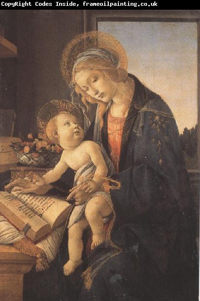 Sandro Botticelli Madonna and child or Madonna of the Bood (mk36)