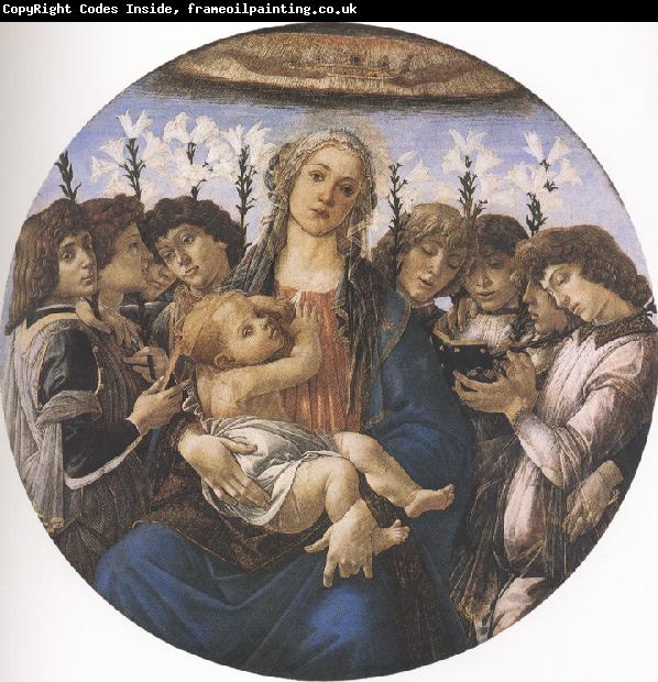 Sandro Botticelli Madonna and Child with eight Angels or Raczinskj Tondo (mk36)