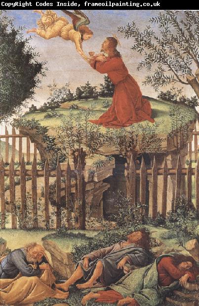 Sandro Botticelli prayer in the Garden (mk36)