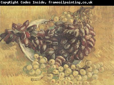 Vincent Van Gogh Still life wtih Grapes (nn04)