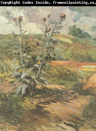 Vincent Van Gogh Two Thistles (nn04)