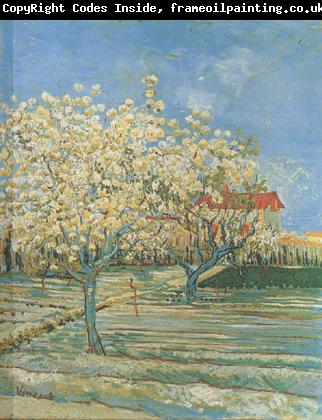 Vincent Van Gogh Orchard in Blossom (nn04)