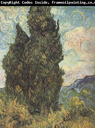 Vincent Van Gogh Cypresses (nn04)