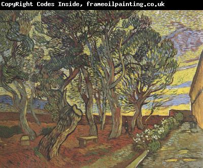 Vincent Van Gogh The Garden of Saint-Paul Hospital (nn04)