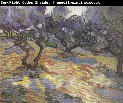 Vincent Van Gogh Olive Trees:Bright Blue Sky (nn04)