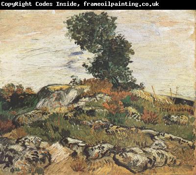 Vincent Van Gogh Rocks with Oak Trees (nn04)