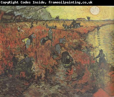 Vincent Van Gogh The Red Vineyard (nn04)