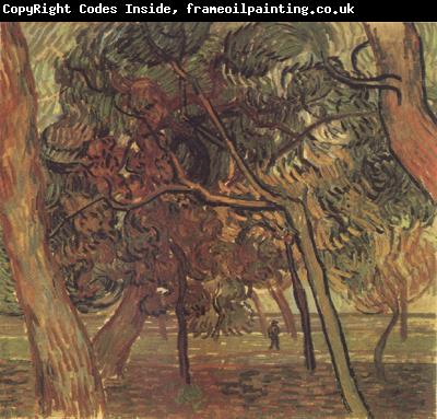 Vincent Van Gogh Study of Pine Trees (nn04)