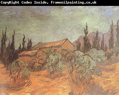 Vincent Van Gogh Wooden Sheds (nn04)