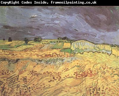 Vincent Van Gogh The Fields (nn04)