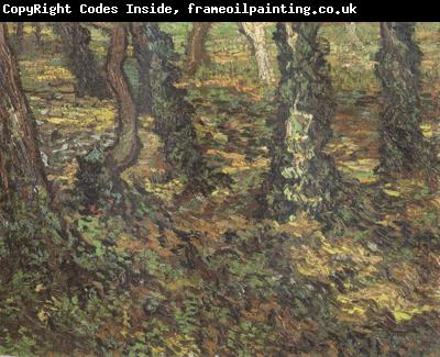 Vincent Van Gogh Tree Trunks with Ivy (nn04)