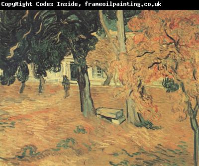 Vincent Van Gogh The Garden of Saint-Paul Hospital (nn04)