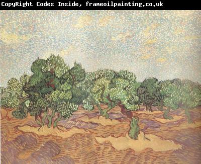 Vincent Van Gogh Olive Grove:Pale Blue Sky (nn04)