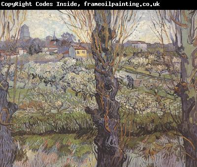 Vincent Van Gogh Orchard in Blossom with View of Arles (nn04)