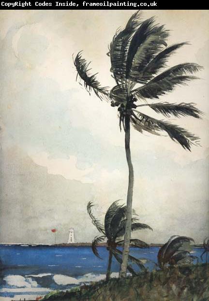Winslow Homer Palm Tree,Nassau (mk44)
