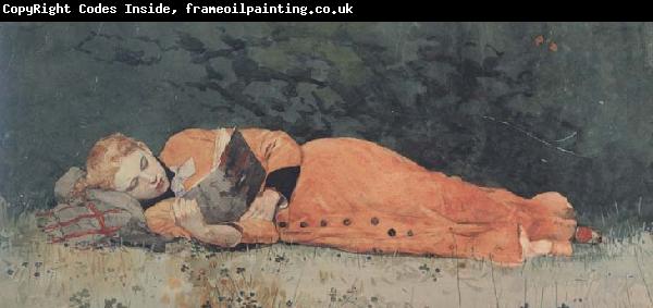 Winslow Homer The New Novel (mk44)