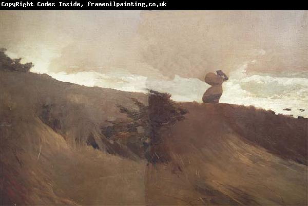 Winslow Homer West Wind (mk44)