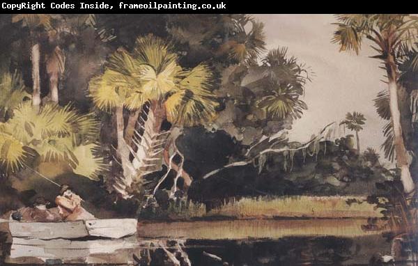 Winslow Homer Homosassa Jungle (mk44)